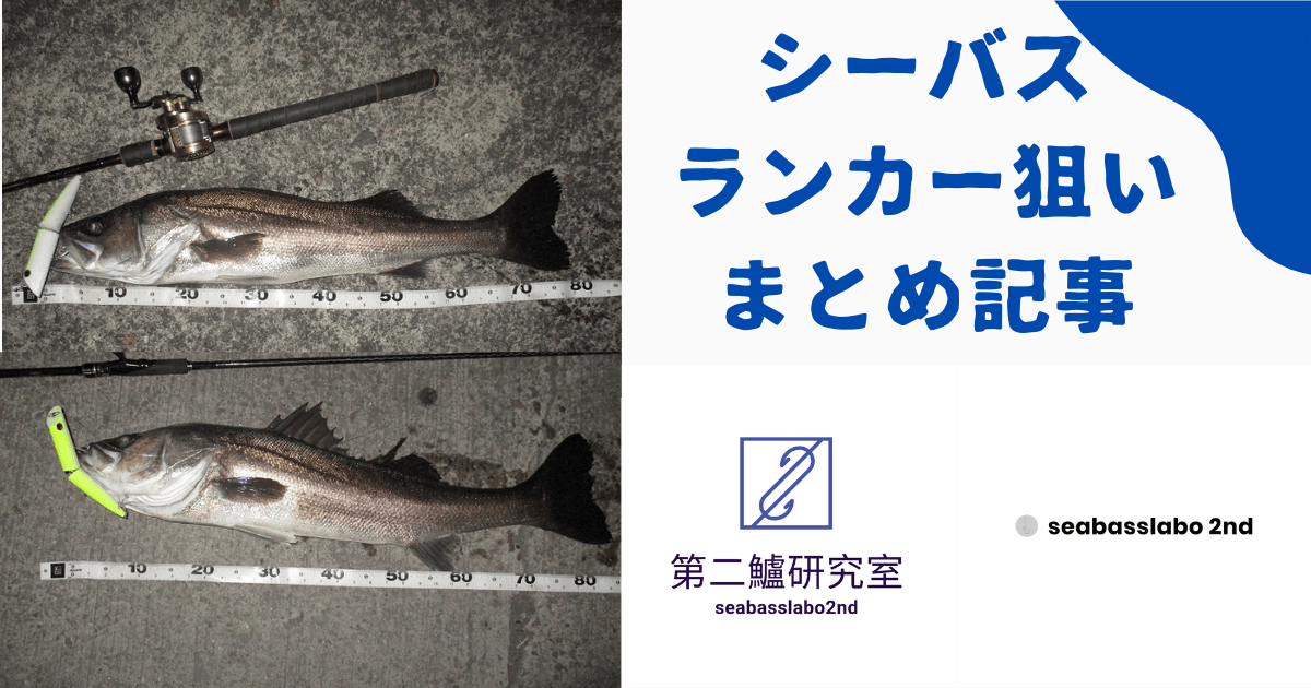 シーバスランカー狙いまとめ