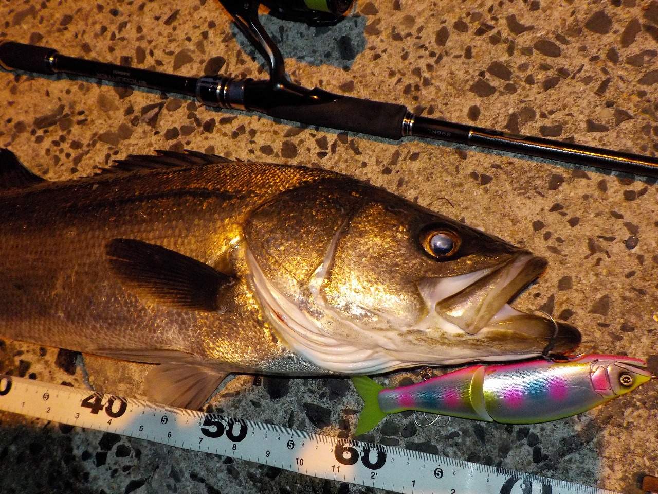 ビッグベイト11個セット　シーバス　ジョイクロ　メガバス　コアマン 実釣 スピニングタックルでジョイクロ178 シーバス70アップ