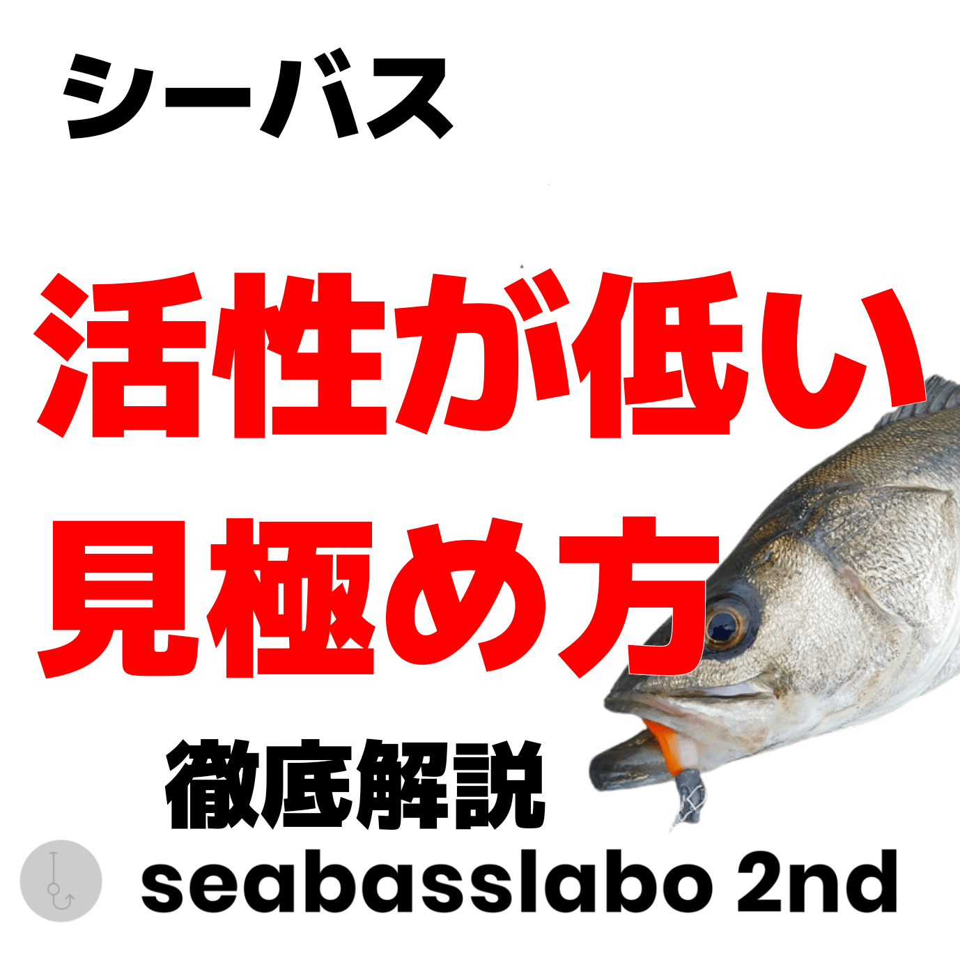 最新版 シーバスの活性が低い時の見極め方と対処法について シーバスラボラトリー2nd