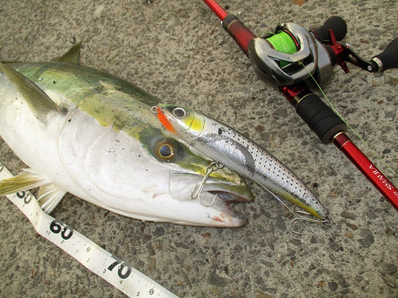 コジロウ s-l400.jpg