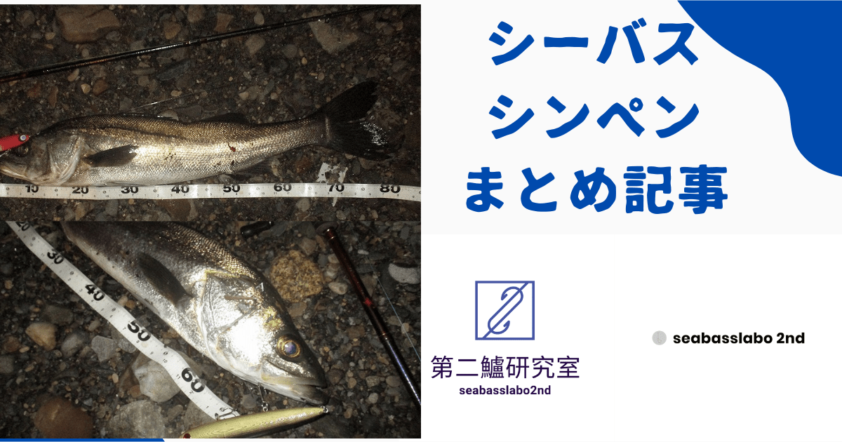 シーバス　シンペンまとめ