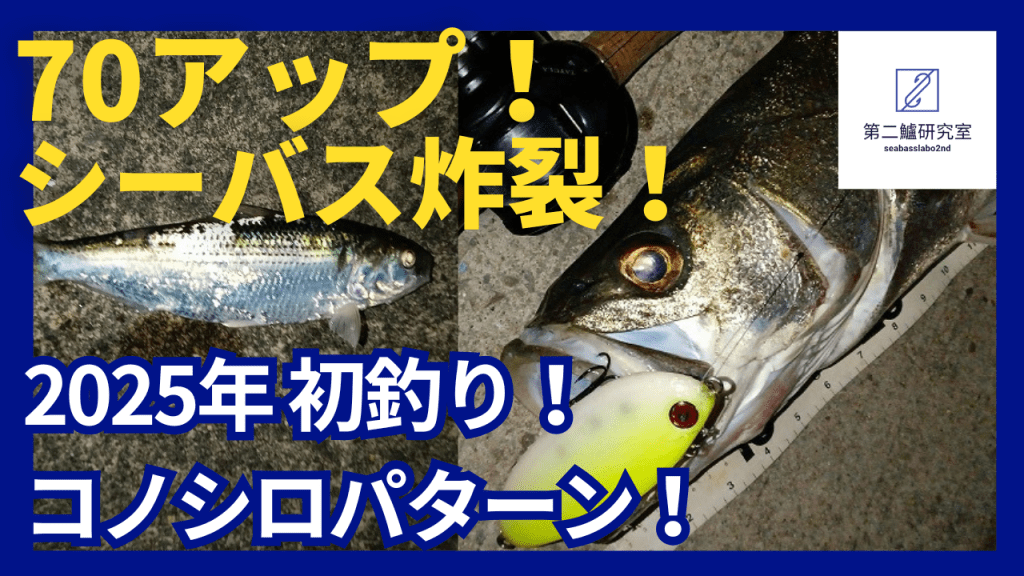実釣 2025 新作鬼バイブ125Fで初シーバス70アップ炸裂！ | シーバス